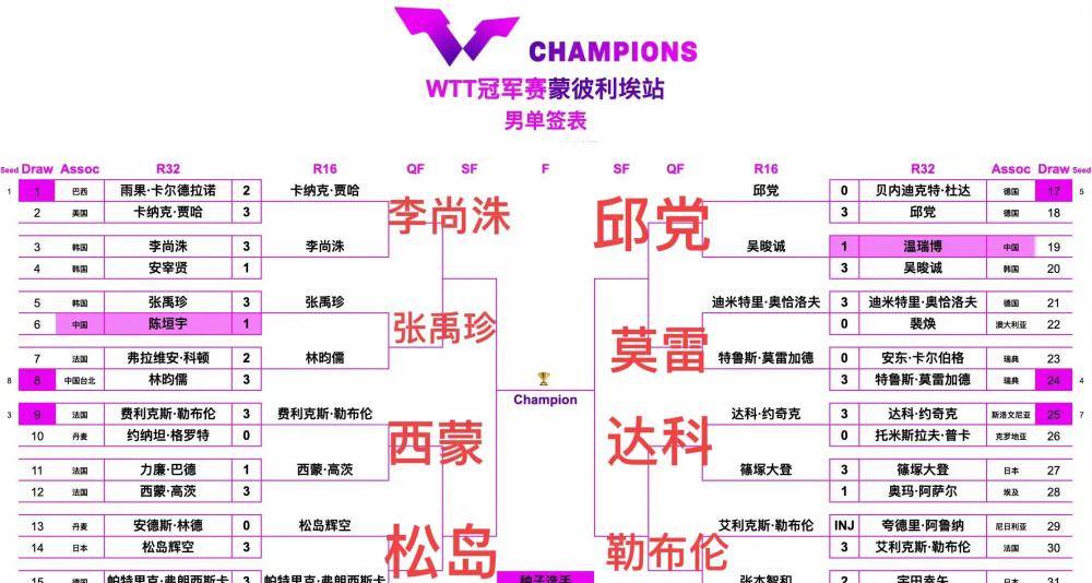 法国队完胜瑞典队，林高远带队取胜